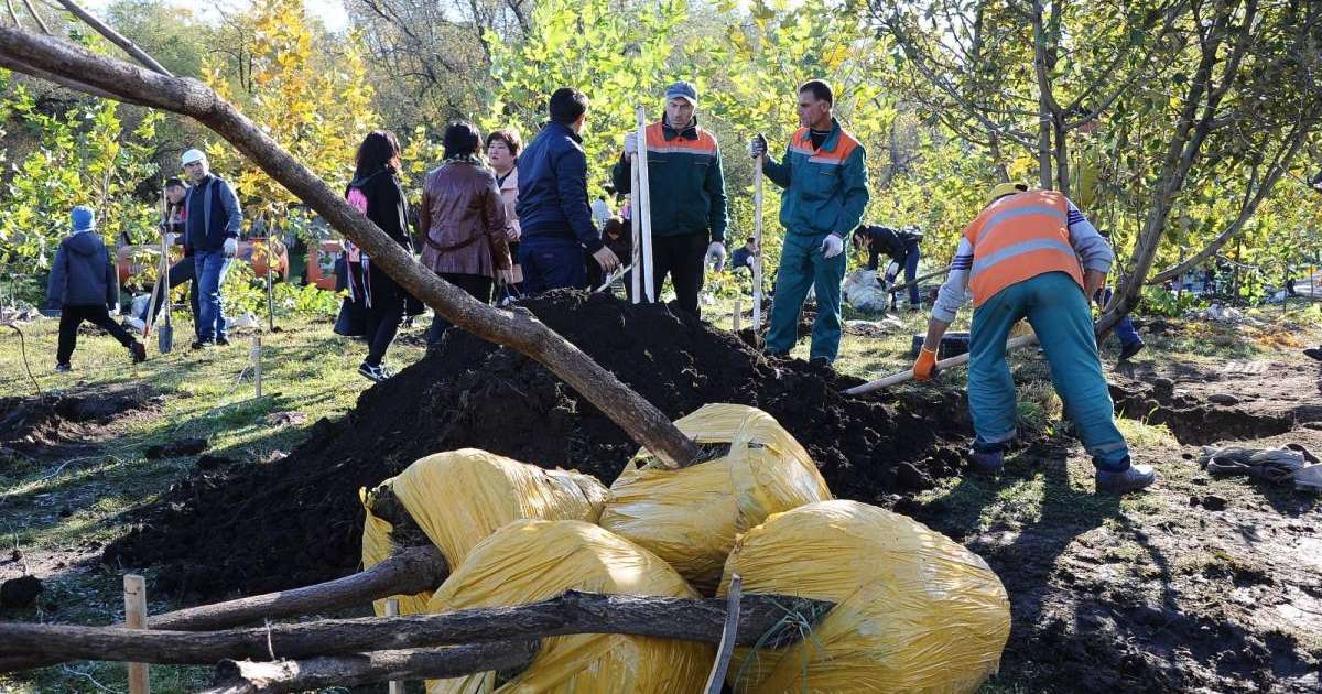 В Алматы стартовала осенняя кампания по озеленению