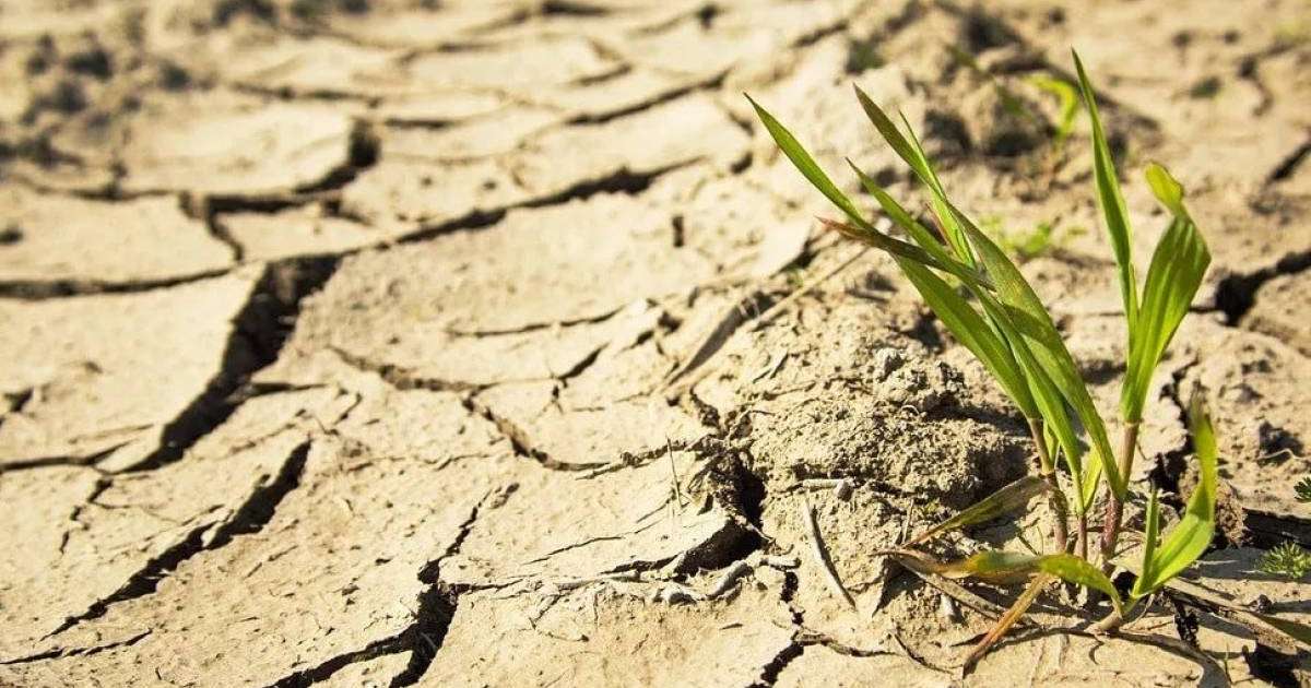 Мамырда Қазақстанның қай өңірінде құрғақшылық болатыны белгілі болды