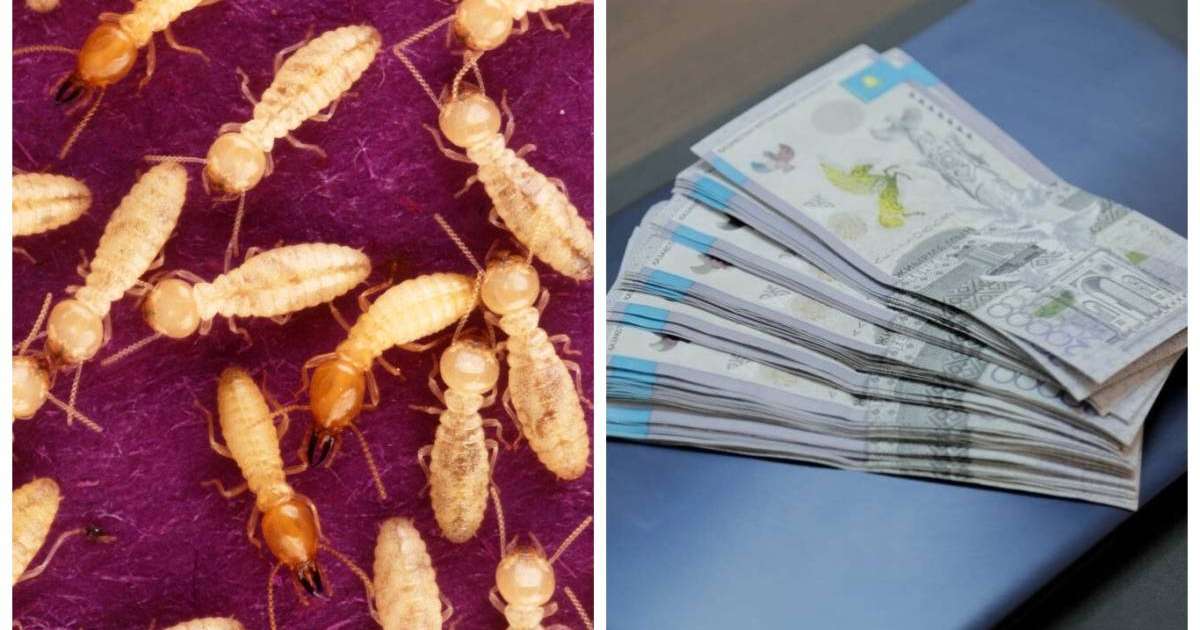 "Термиттер Ұлттық банктің қоймасындағы 2 трлн теңгені жеп қойды": Ақпарат желіде қызу талқыланып жатыр