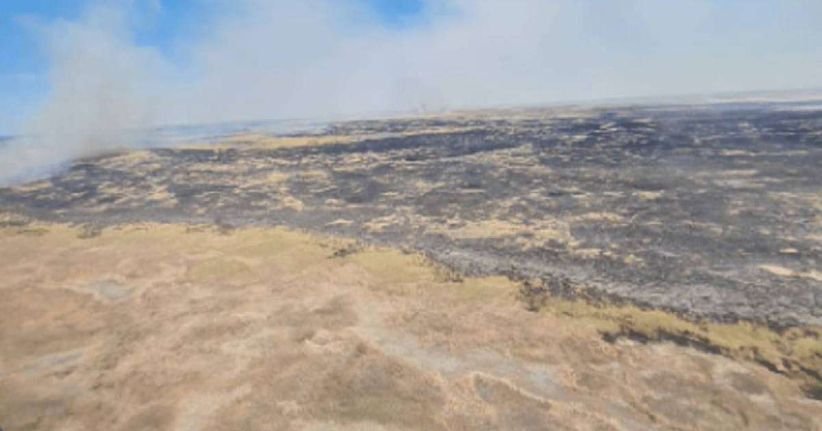 Балқаштағы өрт 6 мың гектарға дейін жетті - ТЖМ