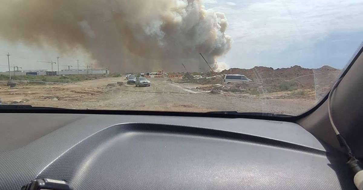 Елорда іргесінде қураған ағаш өртеніп жатыр