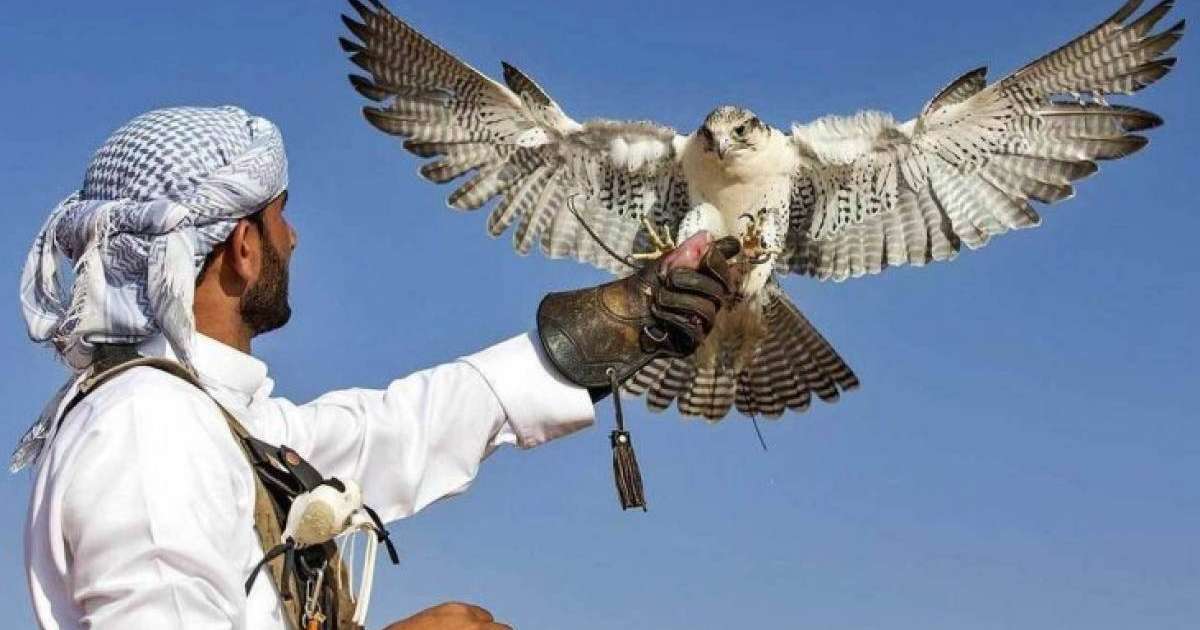 Ел Үкіметі араб шейхтары үшін аң аулау маусымын ашпақ