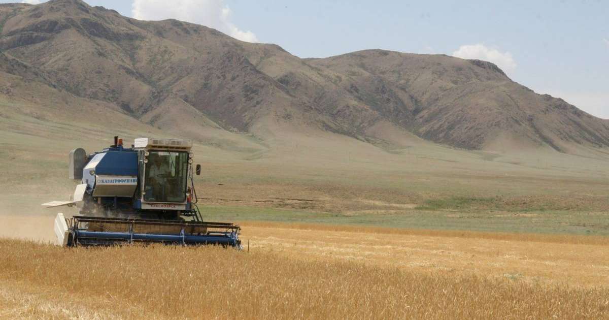 Жетісу облысында 327 мың га жайылымдық жер айналымға енді