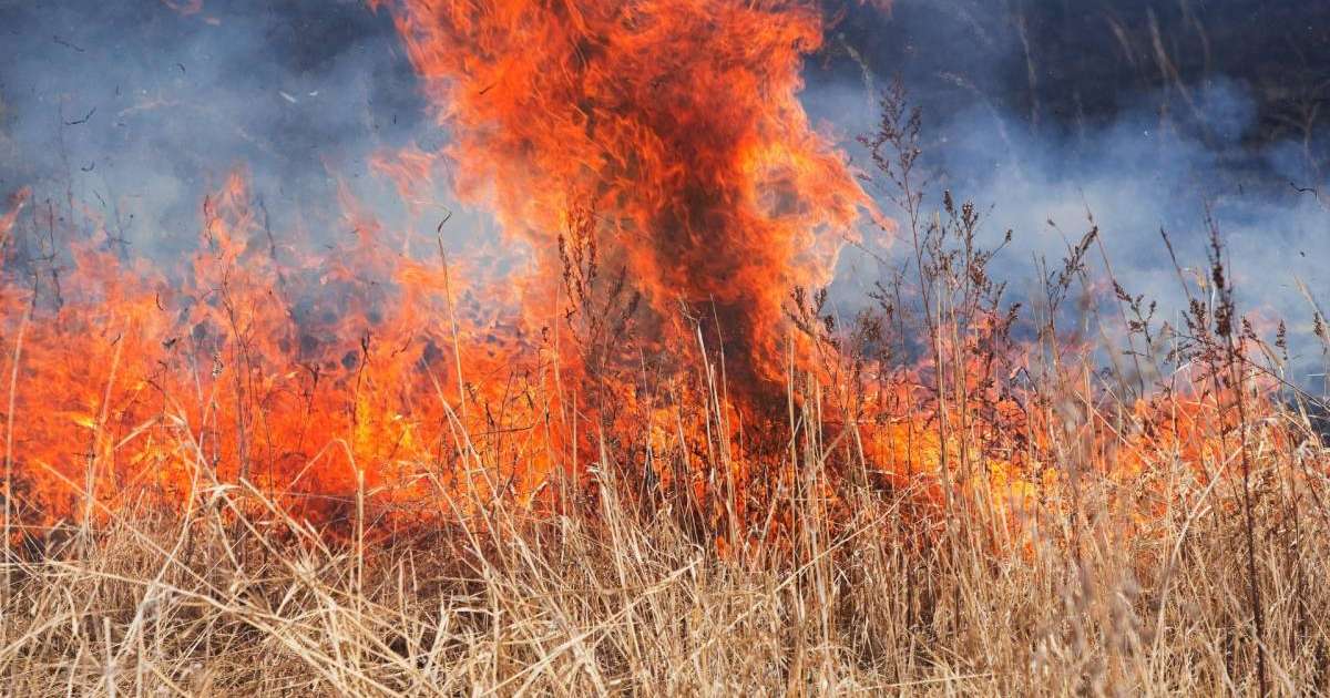 Қызылордада қураған шөп өртеніп, қаланың бірқатар бөлігін түтін басты
