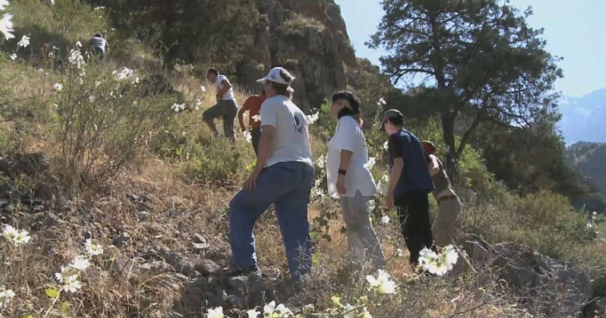 Түркістан облысында адасып кеткен үш турист туралы тың дерек шықты