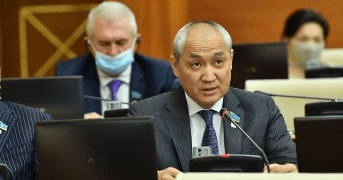 Әкімдер айналасына блогерлерді жинап алып, депутаттарға шабуыл жасайды – Еділ Жаңбыршин