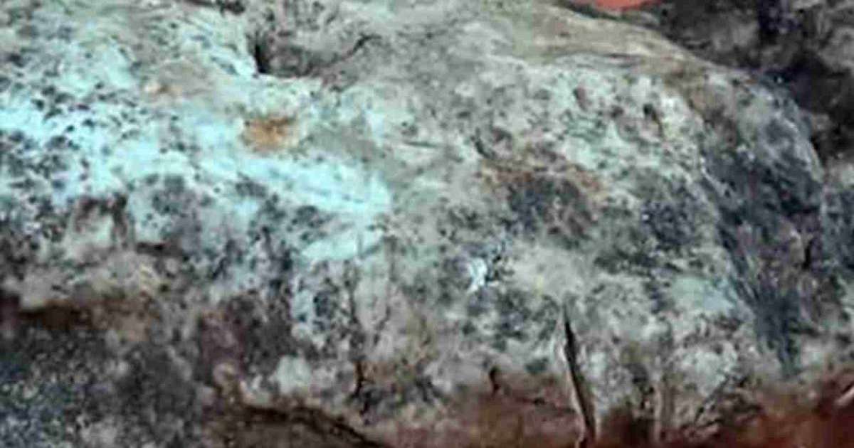 Балықшылар балықтың ішінен бағасы $1,5 млн болатын құнды зат тауып алды