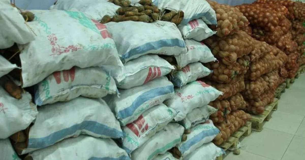 Алматыда зиянды бактериясы бар картоп пен сәбіз анықталды