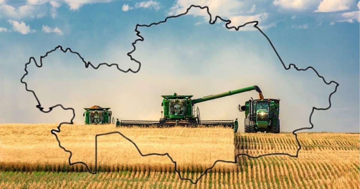 Жиын-терін: қанша астық жиналды, қаншасын тұтынамыз?