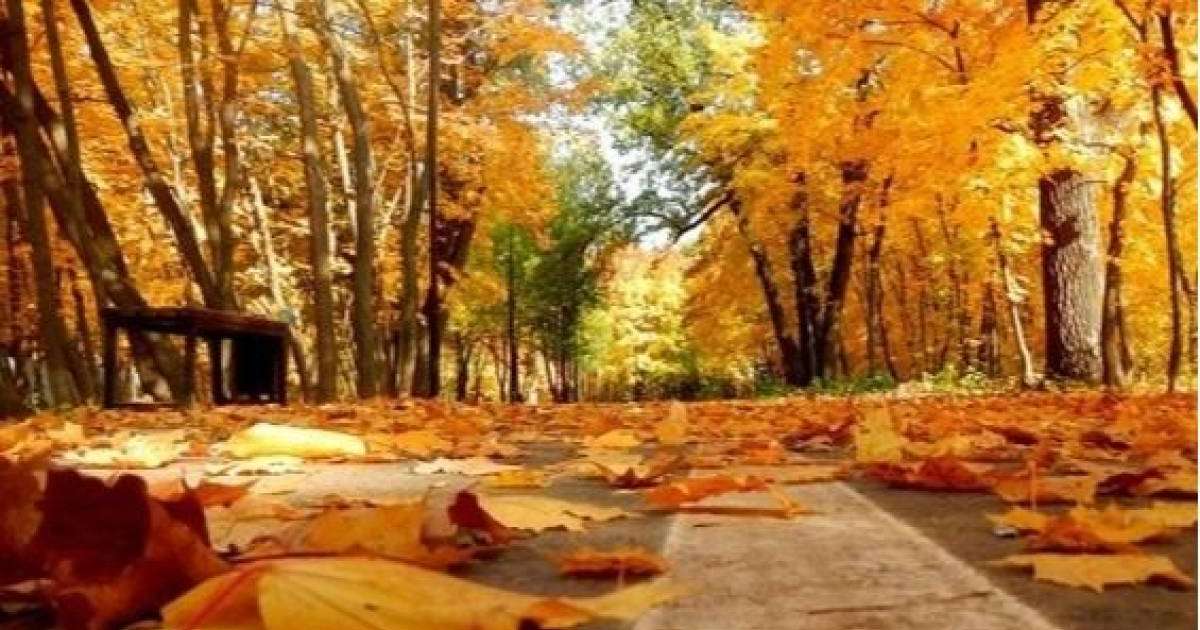 Қазақстанда күз қашанға дейін жылы болып тұрады?