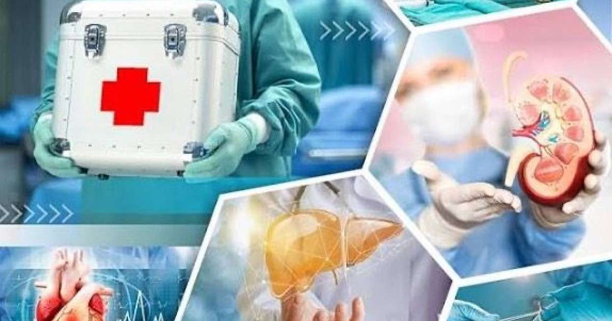 Алматыда дәрігерлер марқұм әйелдің бес ағзасын алты адамға салды