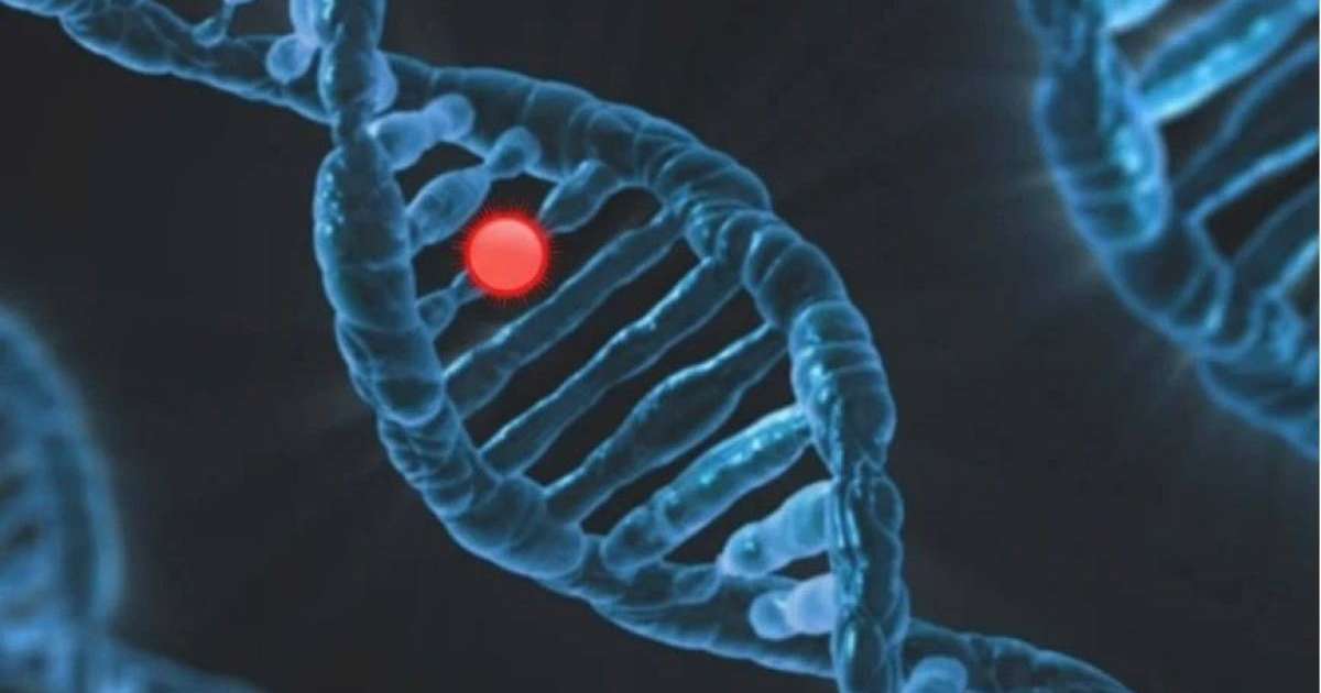 “Туыстық некеден” - Өзбекстанда балалардан ондаған жаңа гендік мутация анықталды