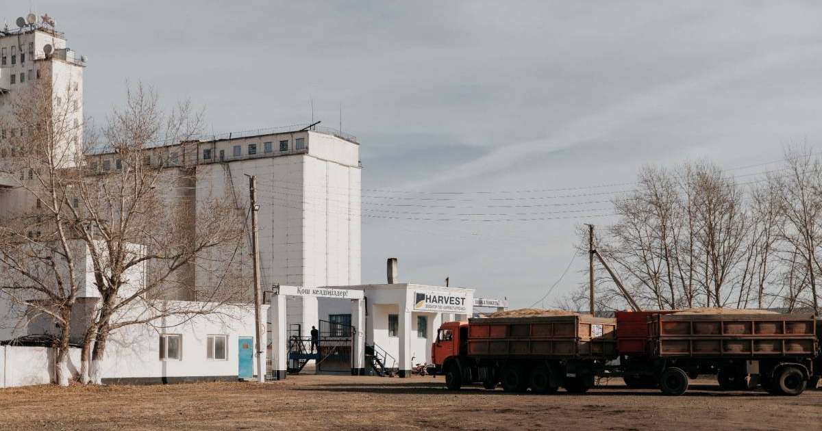 Harvest қиырдағы ұмыт қалған Ащыкөл ауылына қайта жан бітірді