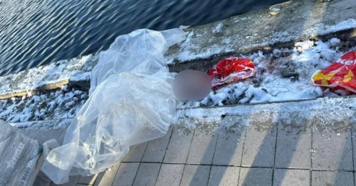 Тоғаннан сөмкеге салынған баланың басы табылды