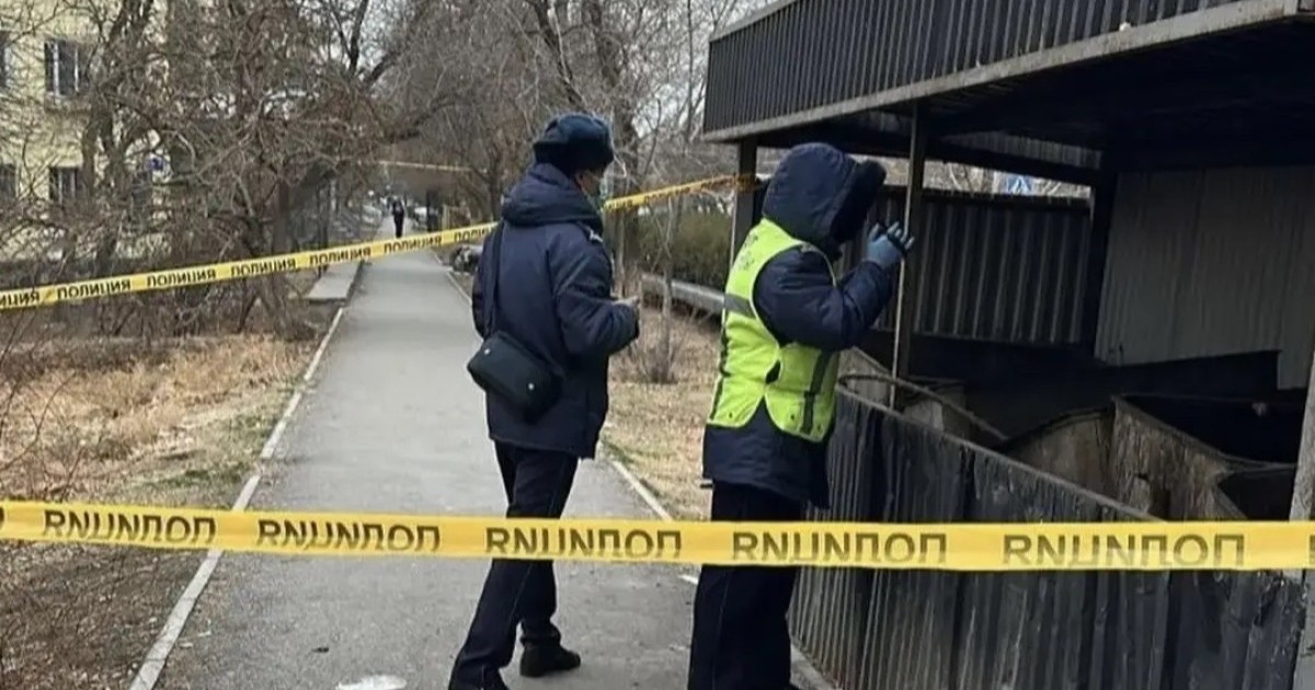 Кентауда қоқыс контейнерінен жаңа туған сәбидің денесі табылды