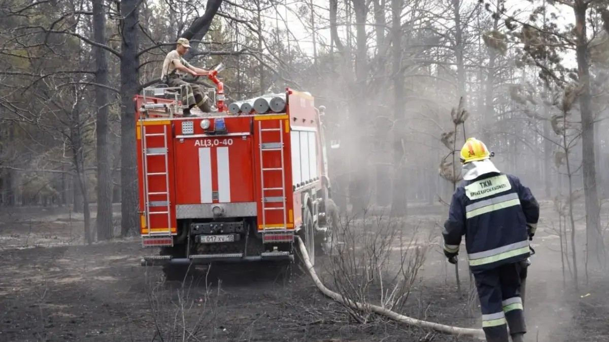 Қазақстанның мемлекеттік орман қоры аумағында үш өрт тіркелді