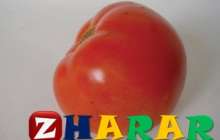 Әжім кетіретін Сегіз түрлі нәр