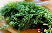 Аскөктің пайдалы қасиеттері