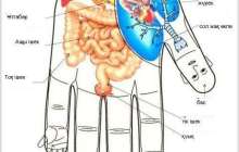 АЛАҚАНЫМЫЗҒА НҮКТЕЛІК МАССАЖ ЖАСАЙЫК