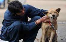 Кәрістер ит етін жеуді күрт азайтты