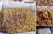 Май зауытының жұмысшылары жалақы орнына жүзім алған