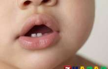 БАЛАНЫЗҒА ТІС ШЫҒА БАСТАДЫМА