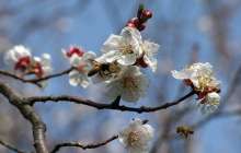 Сәуірде ауа райы қандай болады: болжам