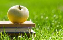 Арманыңызды өзіңіз жақындатыңыз |