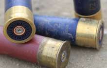 Қызылорда облысында қоян атқан браконьерлер істі болып жатыр