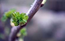 2-4 сәуірде ауа райы қандай болады