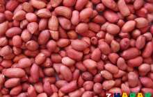 Жер жаңғағының жанға жайлылы қасиеттері