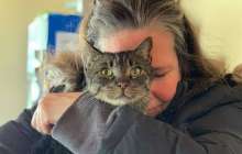 ​Бес жыл бұрын жоғалған мысық аман-есен табылған