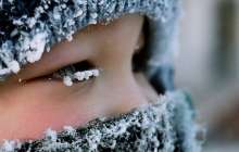 ШҚО мектептерінде сабақ тоқтатылды