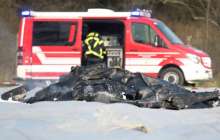 Ең бай бизнесмендердің бірі ұшақ апатынан көз жұмды