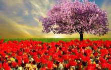 Қазақстандықтар наурызда қанша күн демалады