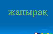 Презентация (слайд): Жапырақ