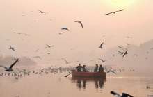 Еуромайданды еске алу және жыл құстарының көші