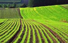 Мұхтар Тайжан бірыңғай аграрлық салықты енгізу ұсынды