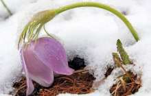 Дүйсенбі күні Қазақстан аумағында тұрақсыз ауа-райы сақталмақ