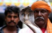 Жігіт достарын жыланмен қорқытамын деп, ажал құшты