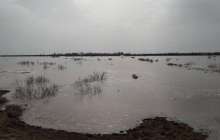 ШҚО-да ауылдарды су басып жатыр