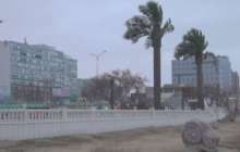 Дубайдан қаламыз ба? Ақтауда пальма ағаштары "өсетін" болды