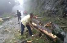 Қатты дауылдан 33 адам мерт болды