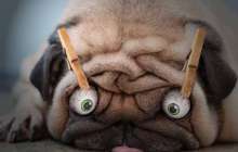 Ұйқыңыз келгенде кофенің орнына не тұтынуға болады?