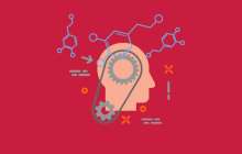 Марапаттан дәмелену сезімін бақыт деп ойлаймыз - Мотивация - Bilim