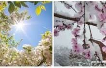 Қазақстандағы ауа райы: Солтүстікте -10 грдаус аяз, оңтүстікте +22