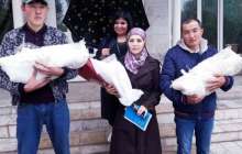 үшемге жүкті болған келіншек егіз босанды