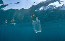 Еуропарламент пластиктен жасалған ыдыстарға тыйым салу туралы заң қабылдады