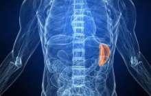 Ұйқы безінің қандағы және зәрдегі ферменттерін анықтау