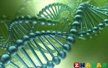 Сабақ жоспары жинағы
		Биологиядан жаңа формат бойынша тест тапсырмалары